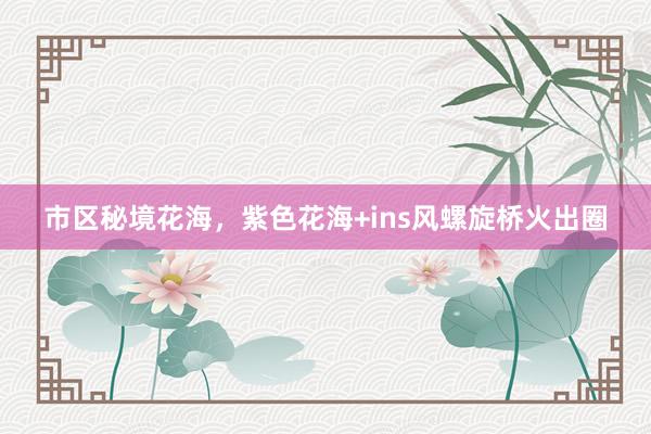市区秘境花海，紫色花海+ins风螺旋桥火出圈