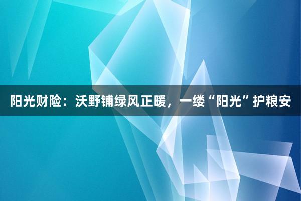 阳光财险：沃野铺绿风正暖，一缕“阳光”护粮安
