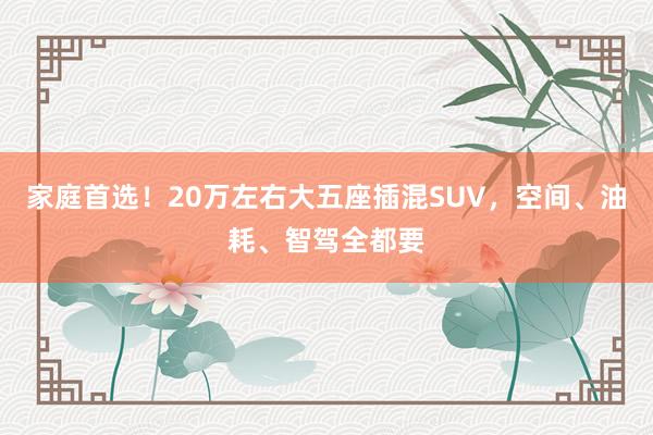 家庭首选！20万左右大五座插混SUV，空间、油耗、智驾全都要